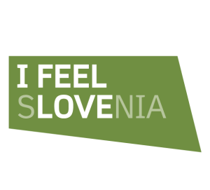 IFEEL 1